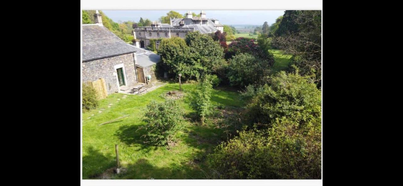 Woodland Cottage Charleton Estate Colinsburgh Екстер'єр фото